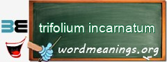 WordMeaning blackboard for trifolium incarnatum